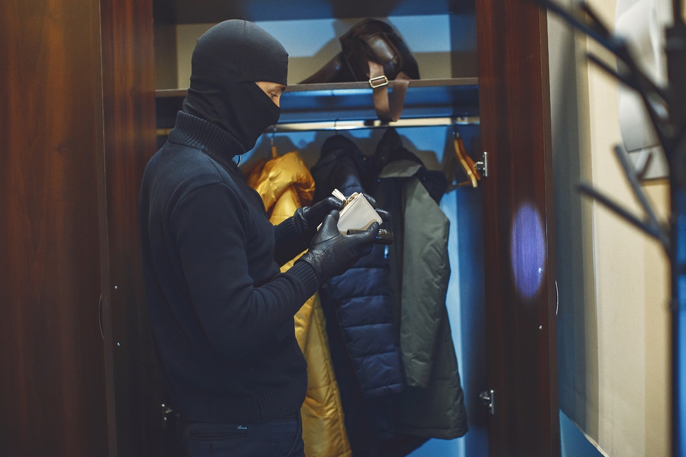 image d'une cambrioleur à paris